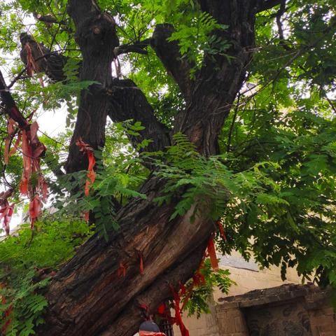 (少年封神(天天送充值))少年封神:寻找神秘传说的传奇之旅 (少年封神(天天送充值))少年封神:寻找神秘传说的传奇之旅